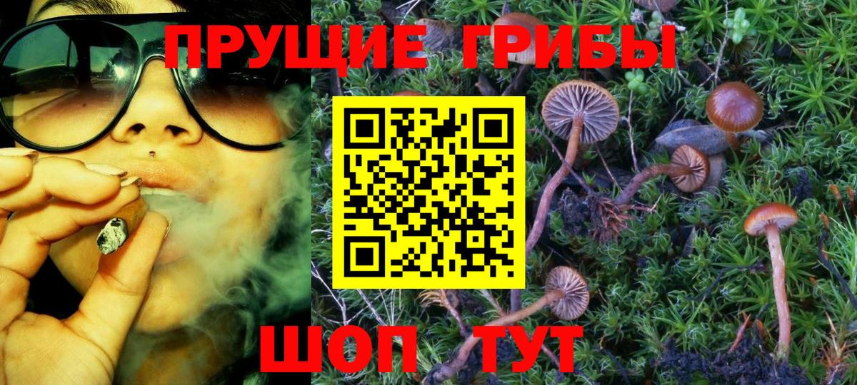 Псилоцибиновые грибы мухоморы  Вход с VPN  Каменск-Шахтинский  Галлюциногенные грибы Psilocybe 