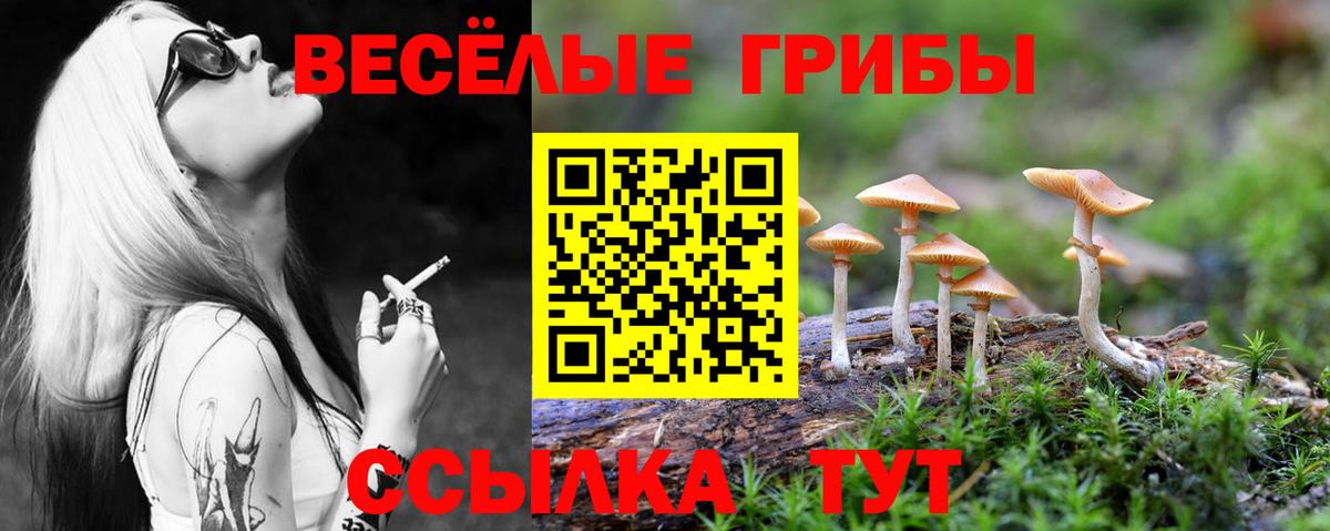 Галлюциногенные грибы Magic Shrooms Каменск-Шахтинский